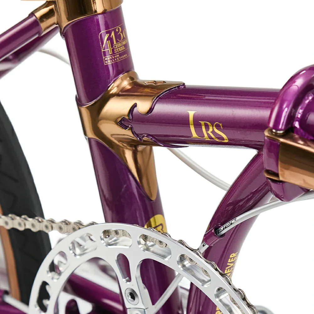 Loras-Steel 20-inch Folding Bike - Image 3